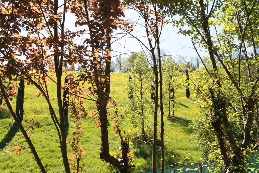 BoscoBo - Relax&Natura Bologna Esterno foto